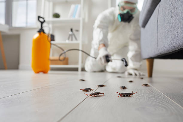 Trusted Termite Control service in Far Hills, NJ - Nex Pest Control