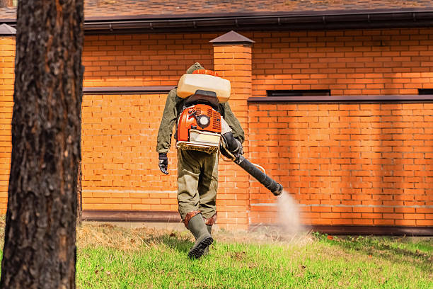 Trusted Cockroach Control service in Far Hills, NJ - Nex Pest Control